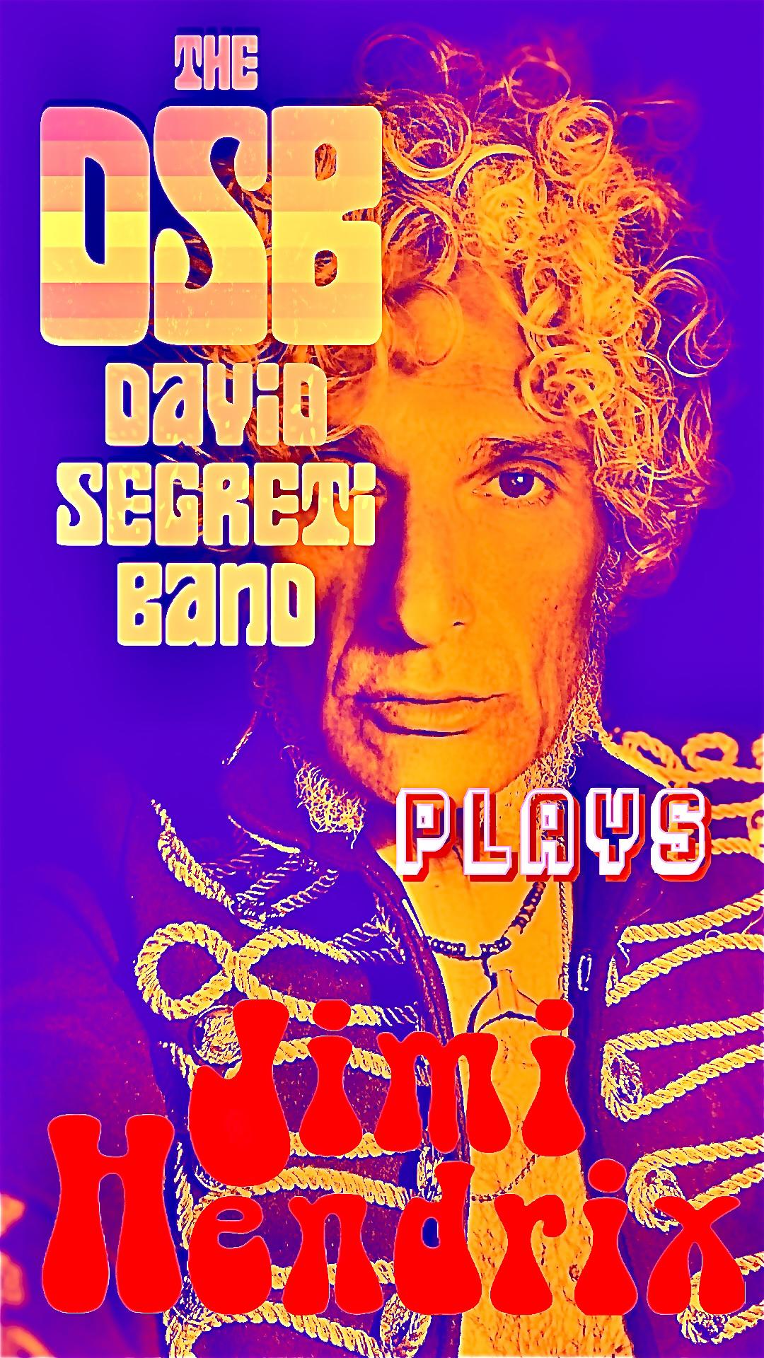 The David Segreti Band